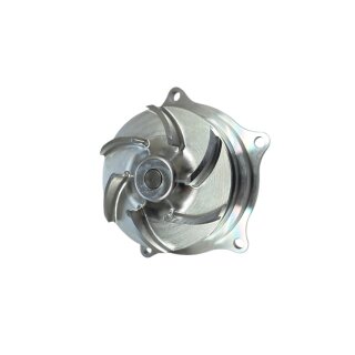 Focus 1 RS Wasserpumpe