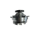 Focus 1 RS Wasserpumpe