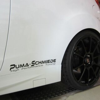 Fiesta ST 180 Puma-Schmiede Stage 1 210 PS