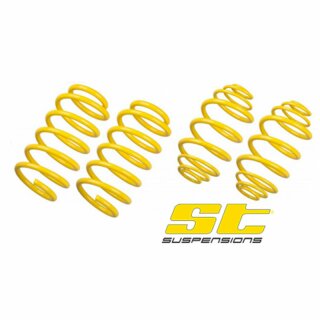 Fiesta ST 180 ST-Suspension Sportfedern