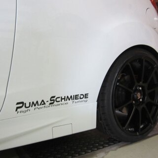Fiesta ST 180 Puma-Schmiede Stage 3 260 PS